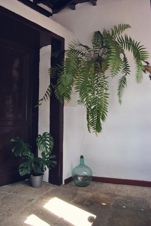 فاليهيرموسو Casa Rural El Palmar المظهر الخارجي الصورة